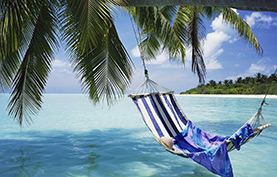 tropical blue hammock