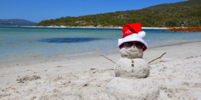 Tropical Christmas