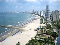 image of a beach at cartagena with high rise buildings in the distance. There are palm trees set back from the beach and not many people