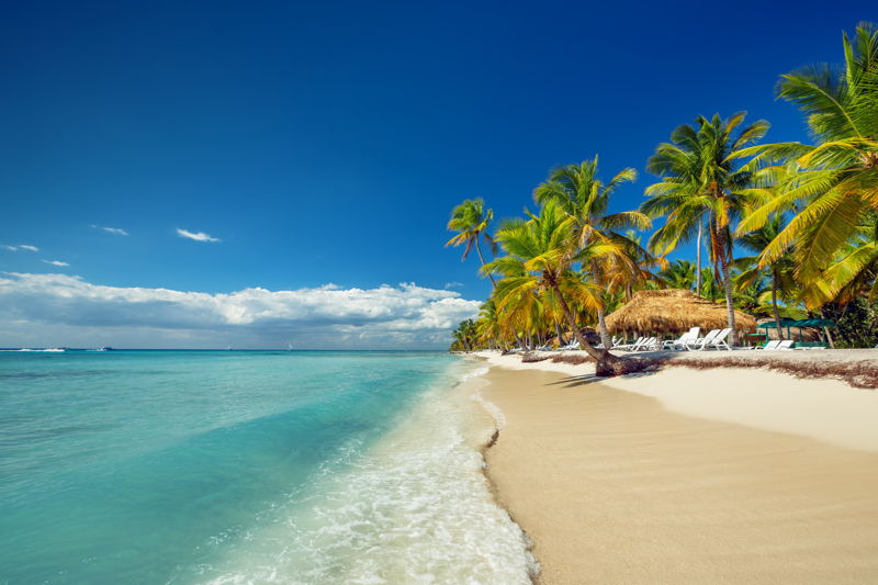 An idylic beach on the Dominican Republic with palm trees and clear blue seas