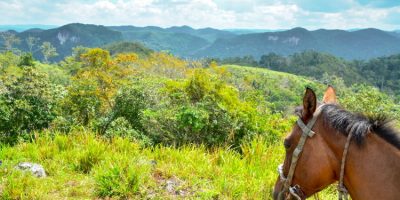 Lush hazy forested limestone hills in Cayo, Belize.