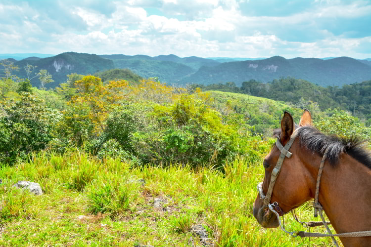 Lush hazy forested limestone hills in Cayo, Belize.