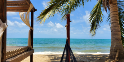 Back-To-Basics Lifestyle In Belize relaxing in a hammock