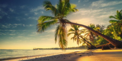 a tropical beach at sunset
