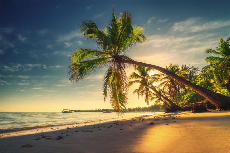 a tropical beach at sunset