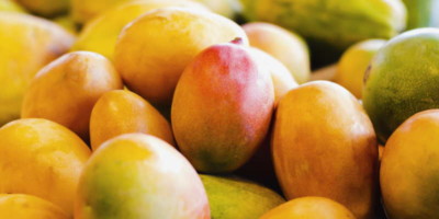 tray of mangos