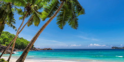 dream beach in the caribbean