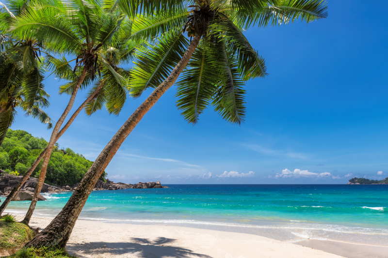 dream beach in the caribbean