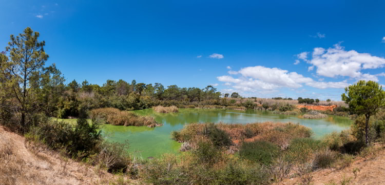 Wide view of a lake for birdwatching in Ria Formosa, Portugal.