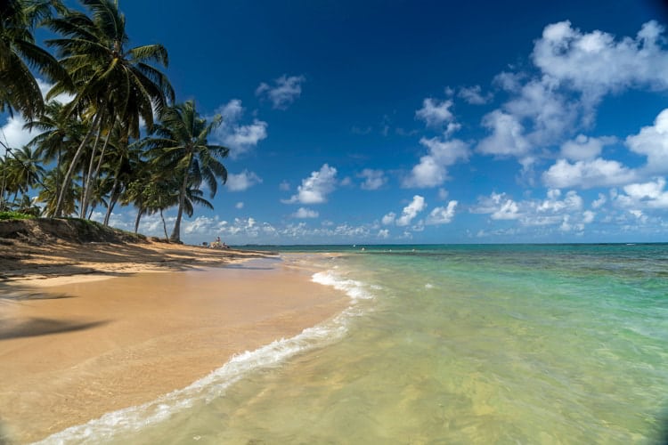 Palm fringed beach in Las Terrenas, Dominican Republic.