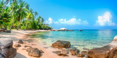 Beautiful tropical beach at exotic island with palm trees