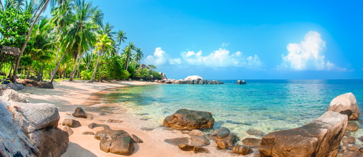 Beautiful tropical beach at exotic island with palm trees