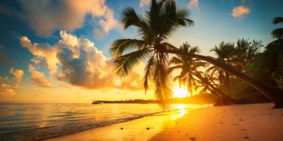 Palm and tropical beach in Punta Cana, Dominican Republic