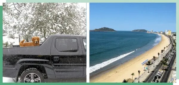 A dog on a car to the left and a white sand beach in Mexico to the right