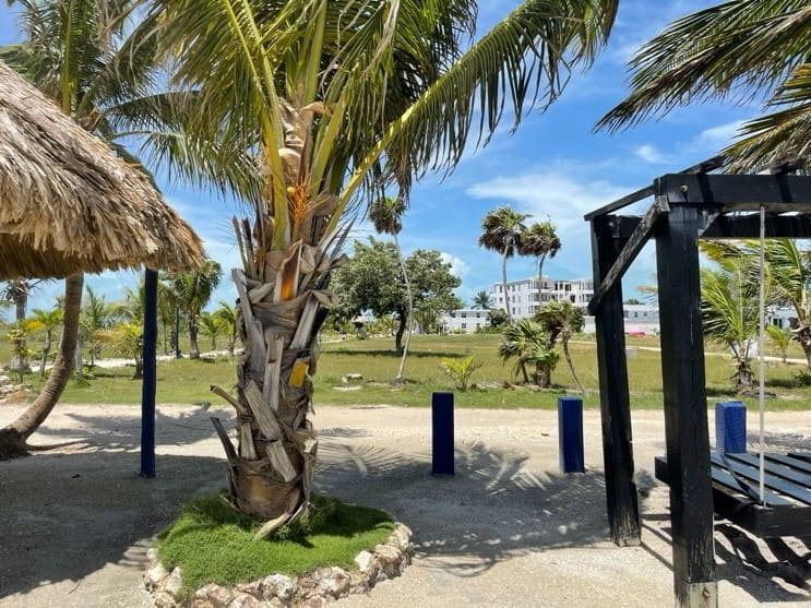 The view from a lot in Costa Del Sol, West Ambergris Caye