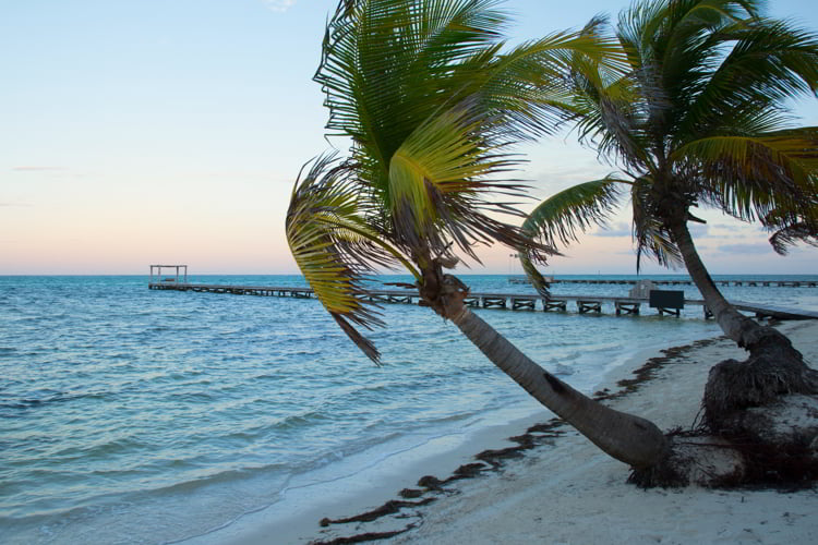 Beach at sunset with leaning palm trees and long dock in Ambergris Caye, Belize