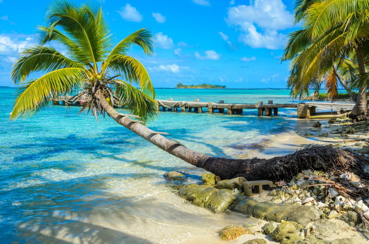 Paradise beach on island Caye Carrie Bow Cay Field Station, Belize