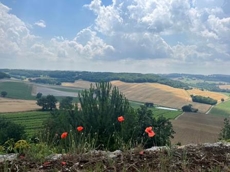 Fields in Gascony, France