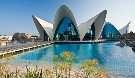 Valencia’s famous aquarium