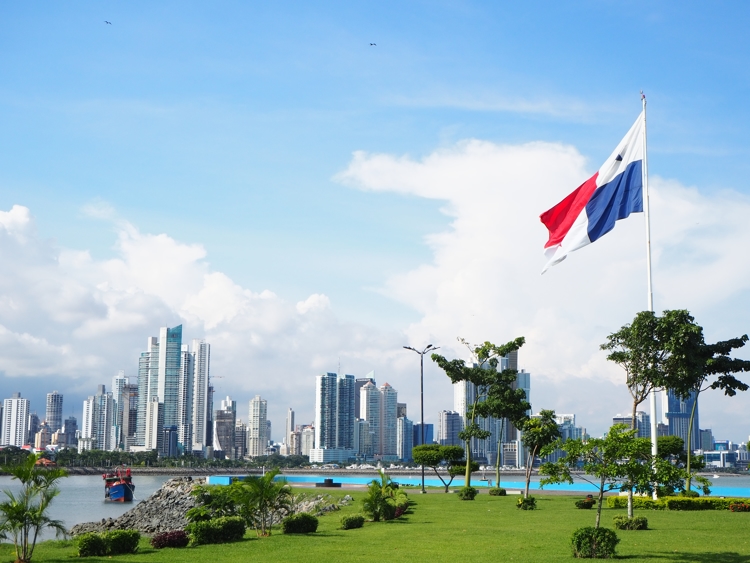 City skyline with green grass and flag flying. Blue sky and white clouds