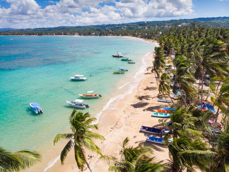 Aerial drone panoramic view of the paradise beach with sandy shore, coral spots, palm trees, color boats and blue water of Atlantic Ocean in the Caribbean
