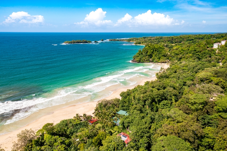 Tropical Island Aerial View. Wild coastline lush exotic green jungle in Panama