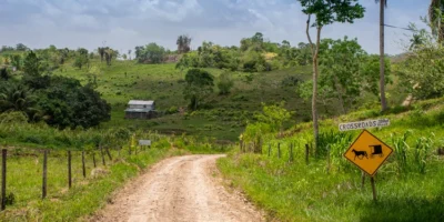 Lonely backroad in the Cayo District of Belize near Mennonite settlement of Spanish Colony