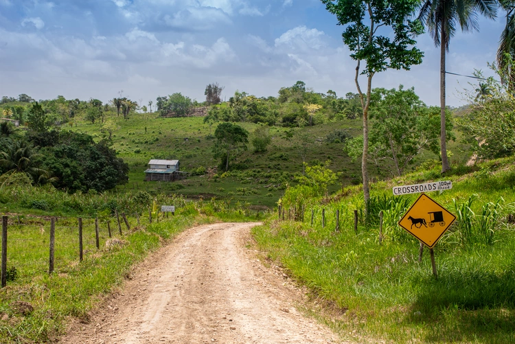 Lonely backroad in the Cayo District of Belize near Mennonite settlement of Spanish Colony