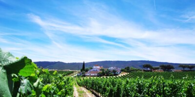 Portuguese wine country