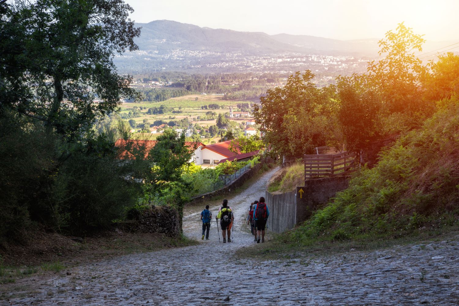 The Camino de Santiago